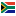 South Africa Diski Shield